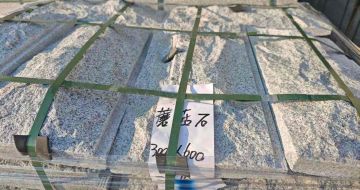 内蒙古芝麻白蘑菇石，自然面